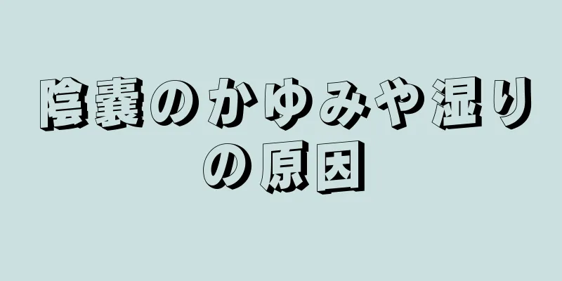 陰嚢のかゆみや湿りの原因