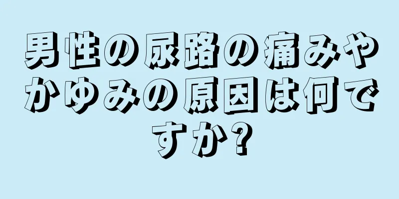 男性の尿路の痛みやかゆみの原因は何ですか?