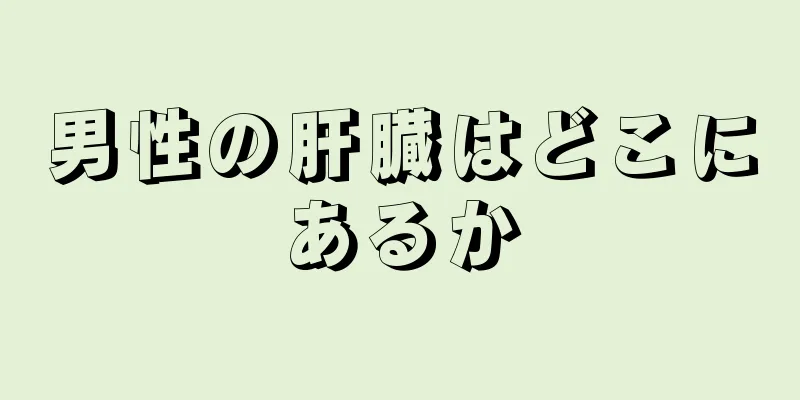 男性の肝臓はどこにあるか
