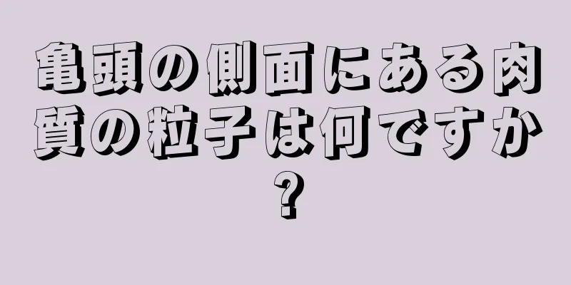 亀頭の側面にある肉質の粒子は何ですか?