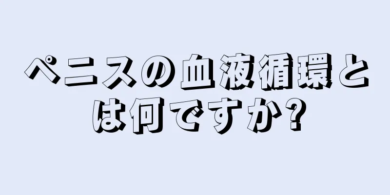 ペニスの血液循環とは何ですか?