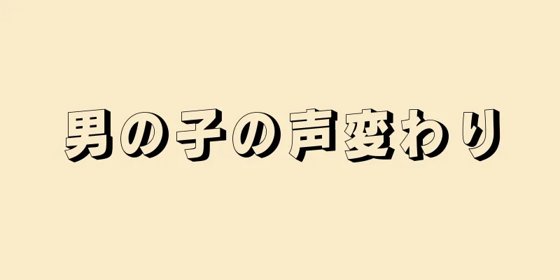 男の子の声変わり