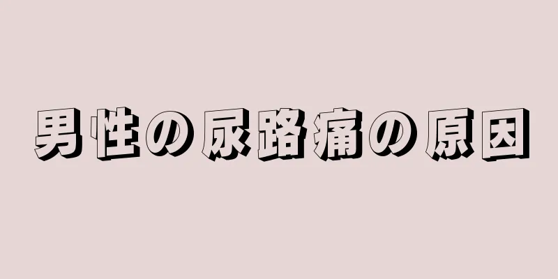 男性の尿路痛の原因