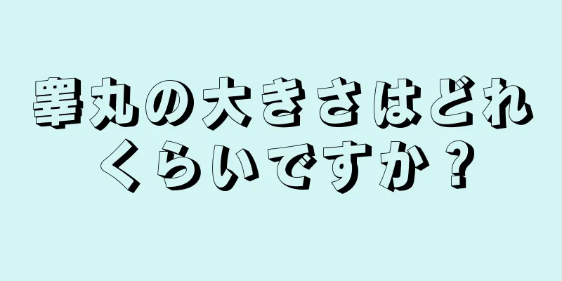 睾丸の大きさはどれくらいですか？