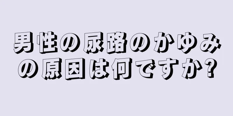 男性の尿路のかゆみの原因は何ですか?