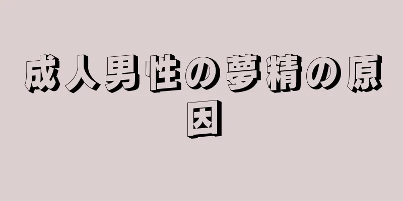 成人男性の夢精の原因