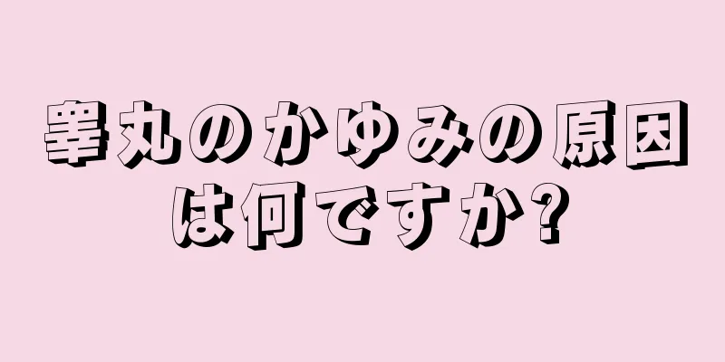 睾丸のかゆみの原因は何ですか?