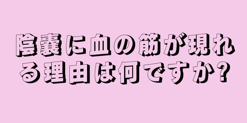 陰嚢に血の筋が現れる理由は何ですか?