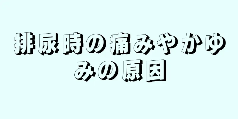 排尿時の痛みやかゆみの原因