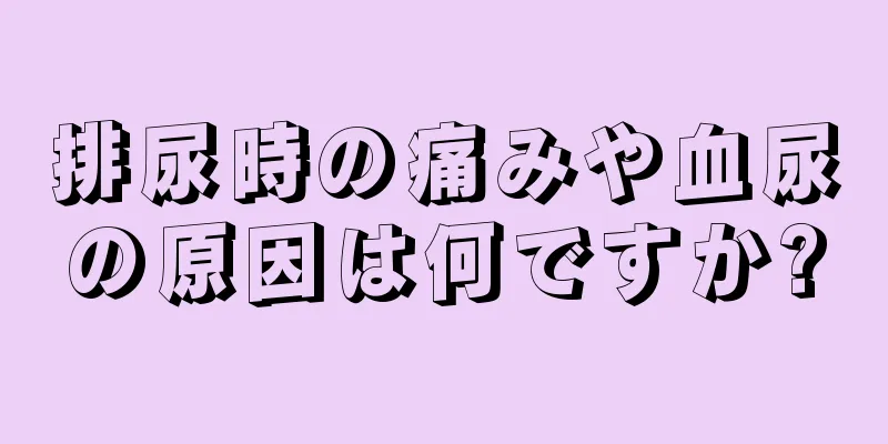 排尿時の痛みや血尿の原因は何ですか?