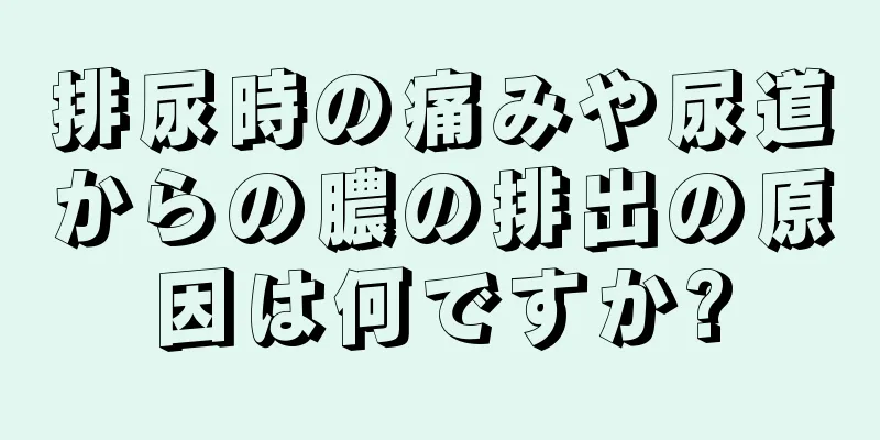 排尿時の痛みや尿道からの膿の排出の原因は何ですか?