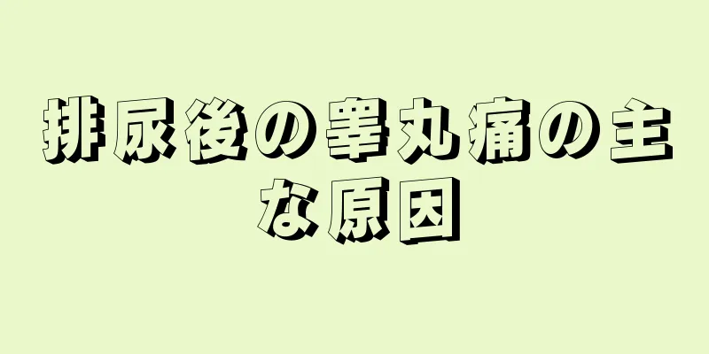 排尿後の睾丸痛の主な原因