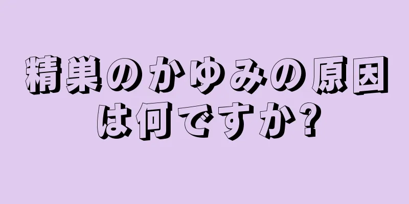 精巣のかゆみの原因は何ですか?