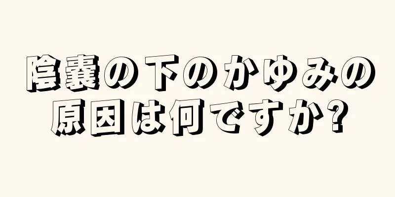 陰嚢の下のかゆみの原因は何ですか?