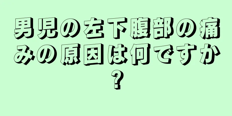 男児の左下腹部の痛みの原因は何ですか?