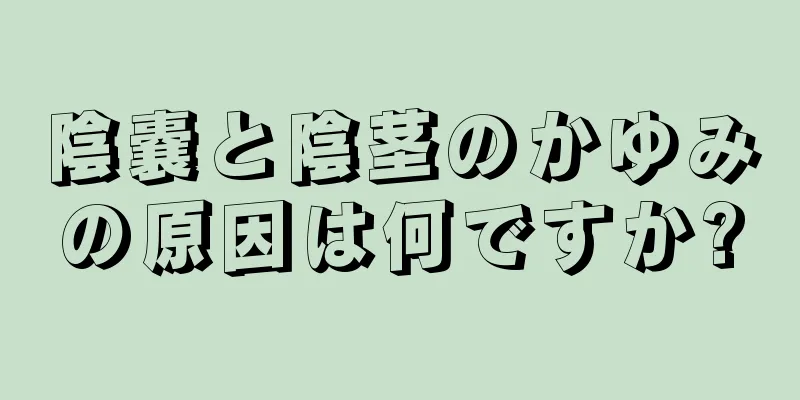 陰嚢と陰茎のかゆみの原因は何ですか?