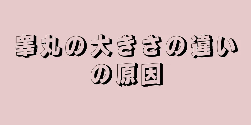 睾丸の大きさの違いの原因