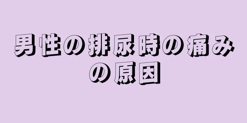 男性の排尿時の痛みの原因