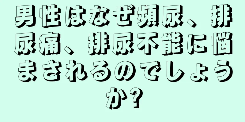 男性はなぜ頻尿、排尿痛、排尿不能に悩まされるのでしょうか?