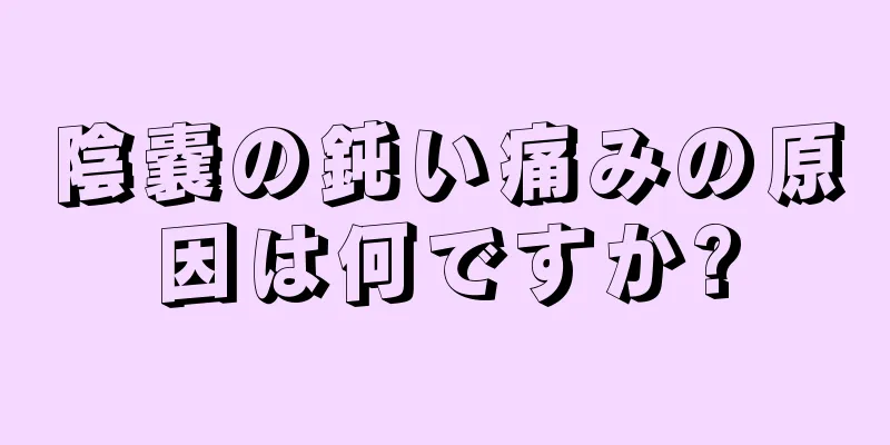 陰嚢の鈍い痛みの原因は何ですか?