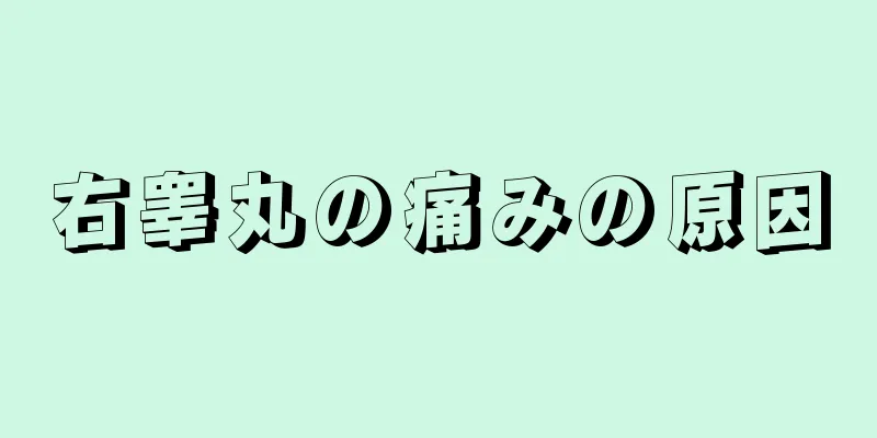 右睾丸の痛みの原因
