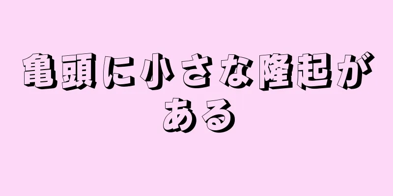 亀頭に小さな隆起がある
