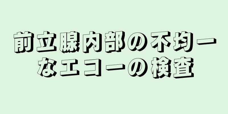 前立腺内部の不均一なエコーの検査