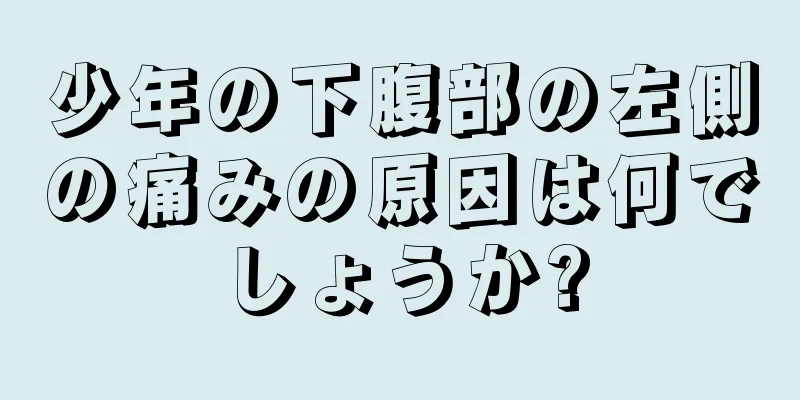 少年の下腹部の左側の痛みの原因は何でしょうか?