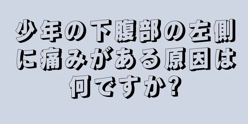 少年の下腹部の左側に痛みがある原因は何ですか?