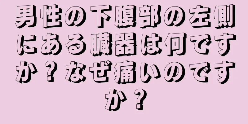男性の下腹部の左側にある臓器は何ですか？なぜ痛いのですか？