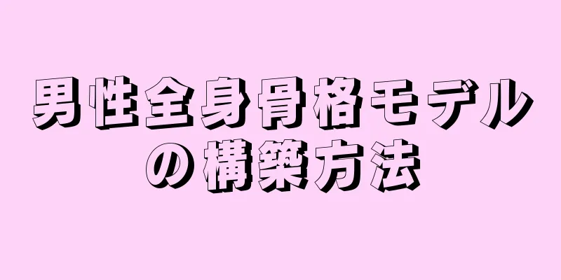 男性全身骨格モデルの構築方法