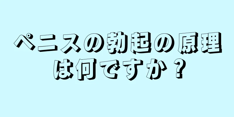 ペニスの勃起の原理は何ですか？