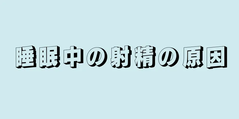 睡眠中の射精の原因