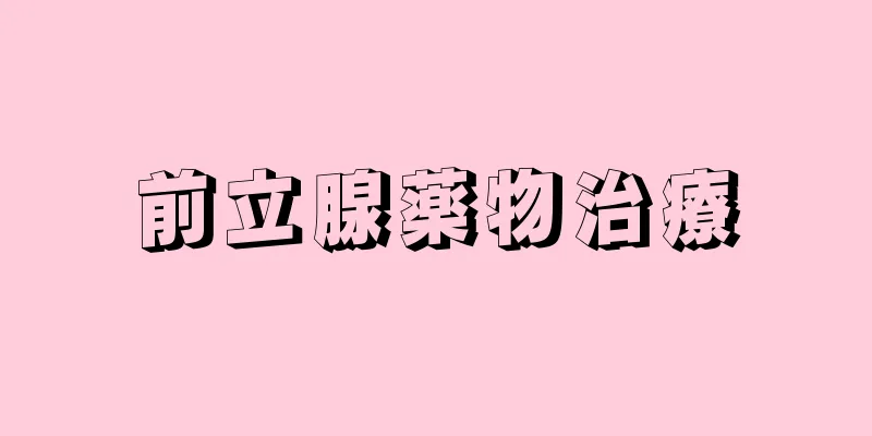 前立腺薬物治療