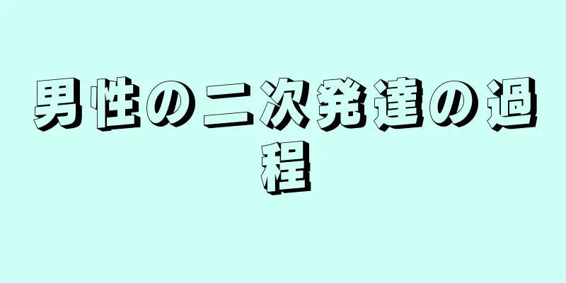 男性の二次発達の過程