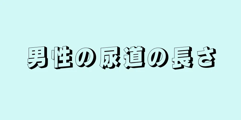 男性の尿道の長さ