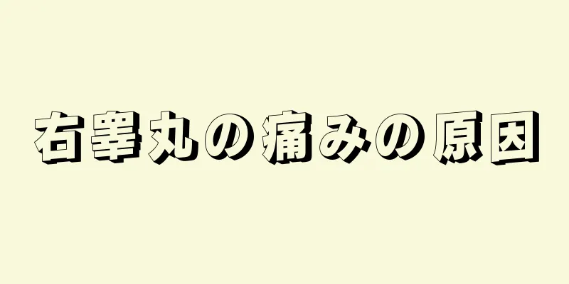 右睾丸の痛みの原因
