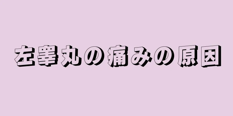左睾丸の痛みの原因