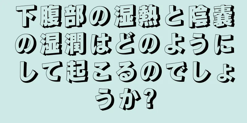 下腹部の湿熱と陰嚢の湿潤はどのようにして起こるのでしょうか?