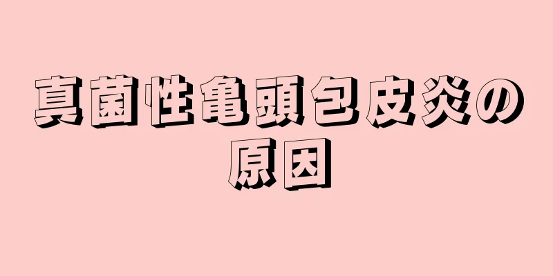 真菌性亀頭包皮炎の原因