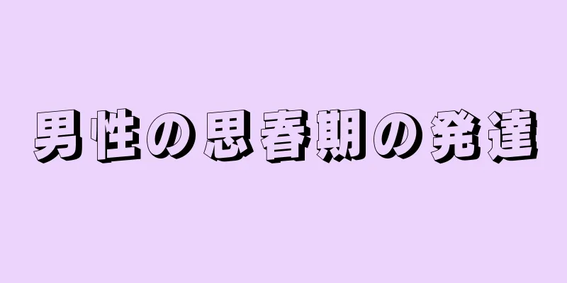 男性の思春期の発達