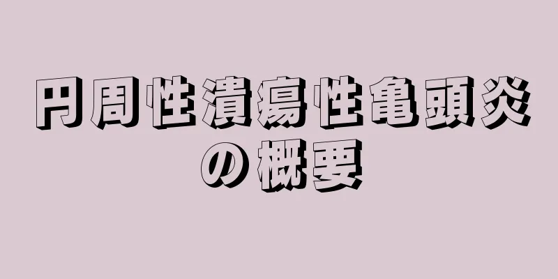 円周性潰瘍性亀頭炎の概要