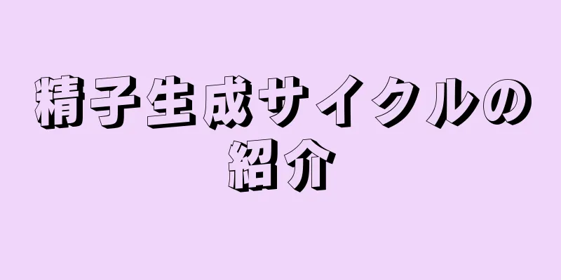 精子生成サイクルの紹介