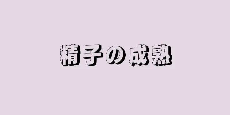 精子の成熟