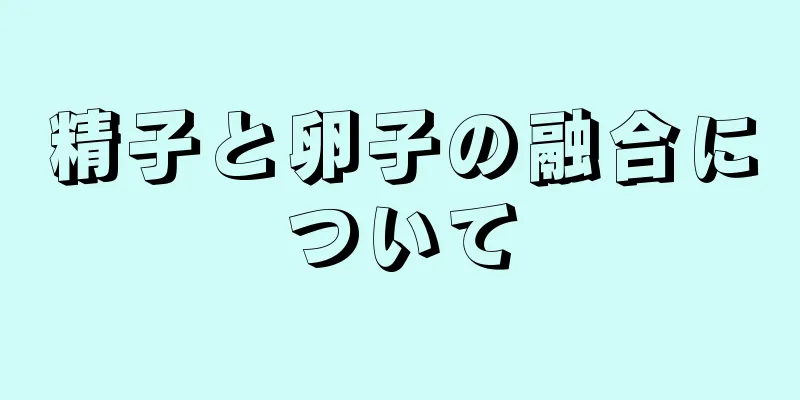 精子と卵子の融合について