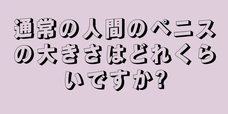 通常の人間のペニスの大きさはどれくらいですか?