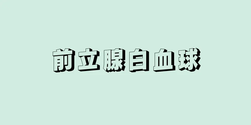 前立腺白血球