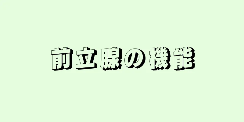 前立腺の機能