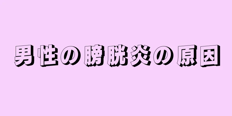 男性の膀胱炎の原因