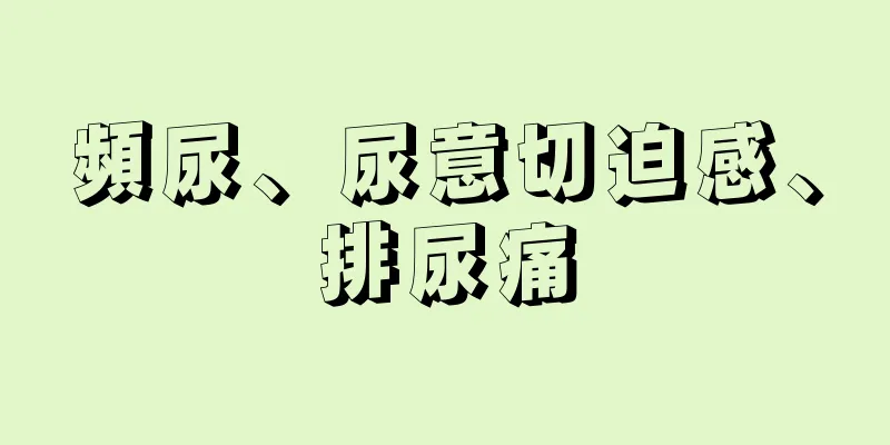 頻尿、尿意切迫感、排尿痛